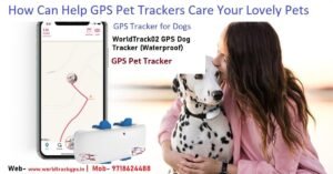 Dog GPS Tracker in India